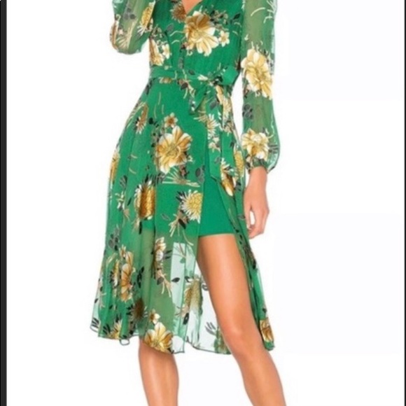 Alice and Olivia Coco Dress - Picture 1 of 5